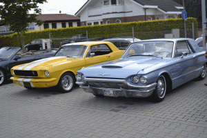 Mustang Car Show der Wild Ponies of Hanau am 17.06.2018