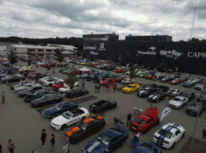 Mustang Car Show der Wild Ponies of Hanau am 17.06.2018