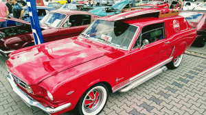 Mustang Car Show der Wild Ponies of Hanau am 17.06.2018