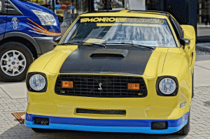 Mustang Car Show der Wild Ponies of Hanau am 17.06.2018