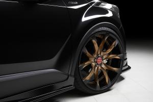 Wald Sports Line Toyota C-HR