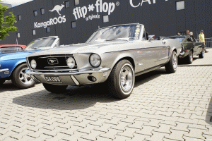 Mustang Car Show der Wild Ponies of Hanau am 17.06.2018
