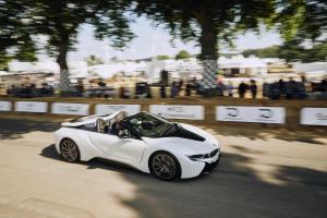 Goodwood Festival of Speed, 12.-15.7.2018