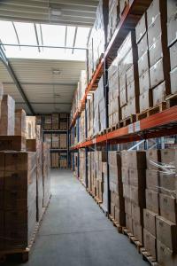 Porträt, Modelissimo