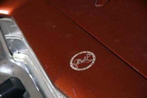 Plymouth Roadrunner OLG