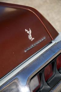 Plymouth Roadrunner OLG