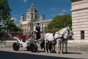 AEZ Hotrod-Fiaker Wiener Originale Kutsche mit Leichtmetallfelgen Tokio 23 Zoll Gewinnspiel