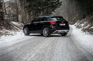 Audi Q2 Aez Cliff