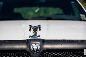 American Car Fest 2022 Stöffel-Park Enspel Westerwald Treffen US-Cars