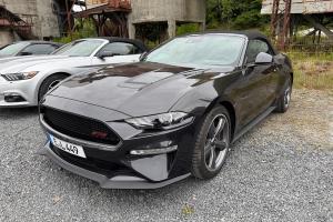 American Car Fest Summer Edition 2025 Stöffel-Park Westerwald Cars and Stripes-Magazin