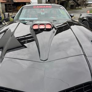 American Car Fest Summer Edition 2025 Stöffel-Park Westerwald Cars and Stripes-Magazin