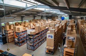 Porträt, Modelissimo