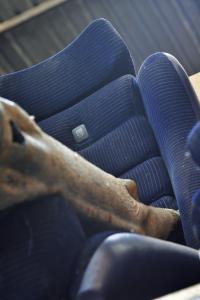 BMW E12 530 MLE Sportlimousine Südafrika Homologation Sondermodell Restauration