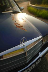 Klassik, Mercedes-Benz S123 230 TE von Huber`s Garage