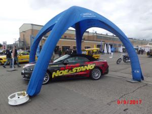 Mustang Meeting Wild Ponies 9.9.2017