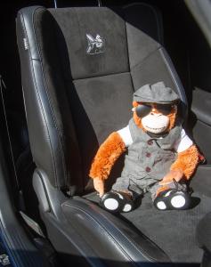 Dodge Challenger R/T Scat Pack Rost-Pott Tuning Leistungssteigerung Abgasanlage Folierung Karosseriezteile Innenraum-Veredelung