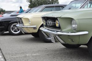 Mustang Meeting Wild Ponies 9.9.2017