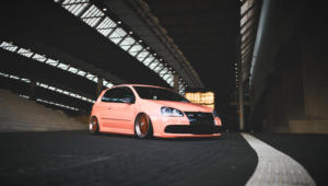 Portrait Special Concepts