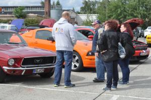 Mustang Meeting Wild Ponies 9.9.2017