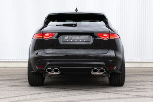 HAMANN F PACE rear