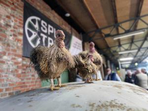 IMG 20240113 112540 Bokeh