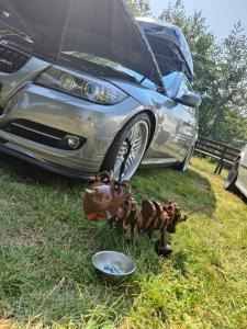 BMW-Treffen RTTH 2024