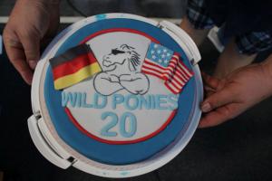 Wild Ponies werden 20 Treffen Mustang