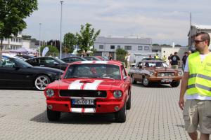 Wild Ponies werden 20 Treffen Mustang