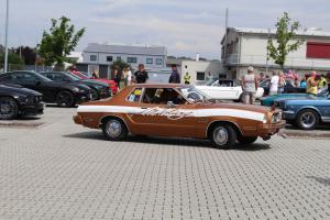 Wild Ponies werden 20 Treffen Mustang