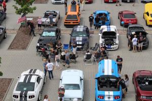 Wild Ponies werden 20 Treffen Mustang