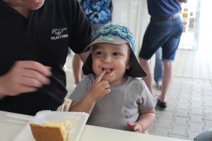 Wild Ponies werden 20 Treffen Mustang