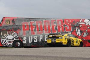 Ford Mustang GT von Pedders