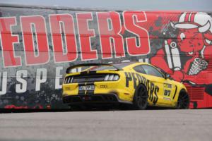 Ford Mustang GT von Pedders