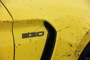 Ford Mustang GT von Pedders