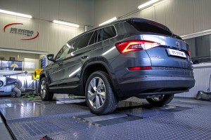 Kodiaq DTE Systems