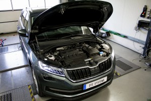 Kodiaq DTE Systems
