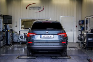 Kodiaq DTE Systems