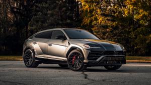 Urus Vossen