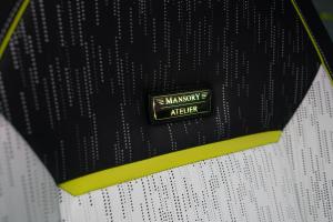 Mansory Elongation (Tesla Cyber Truck)