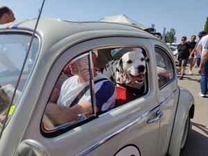 MaiKaeferTreffen 2024 27