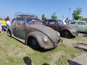 MaiKaeferTreffen 2024 28