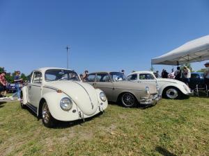 MaiKaeferTreffen 2024 30