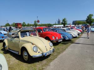 MaiKaeferTreffen 2024 54