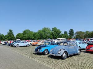 MaiKaeferTreffen 2024 98