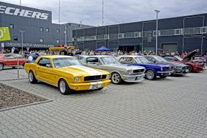 Wild Ponies werden 20 Treffen Mustang