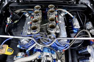 Wild Ponies werden 20 Treffen Mustang