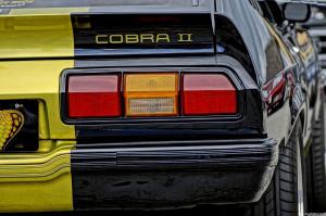 Wild Ponies werden 20 Treffen Mustang