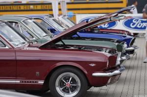 Wild Ponies werden 20 Treffen Mustang