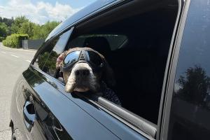 Mercedes-Benz CLA 250 Sport 4MATIC Shooting Brake X117 Optik Individualisierung Leistungssteigerung Luftfahrwerk Felgen