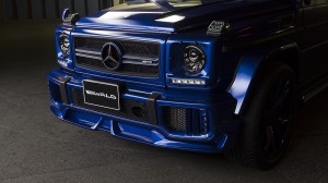 Mercedes G63 Wald Breitbau